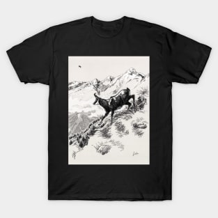 Chamois T-Shirt